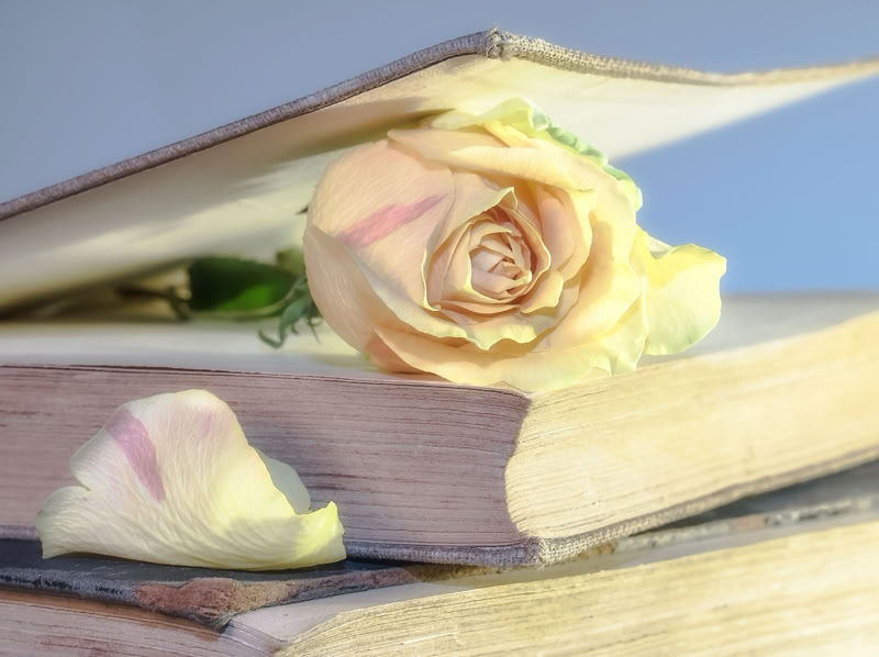 I write texts and e-books that inspire mindful living.