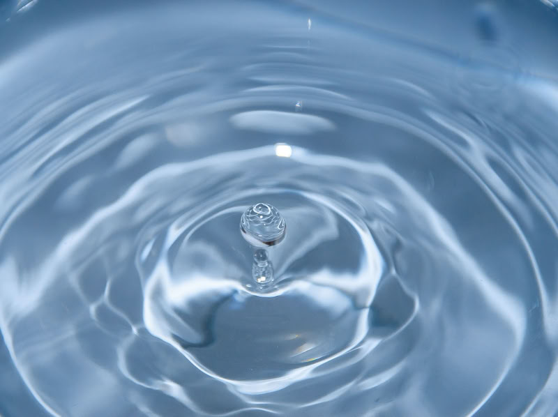 I locate water sources using traditional and modern methods.